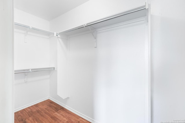 9003 Timber Frk, San Antonio, TX 78250 - spacious closet with wood finished floors