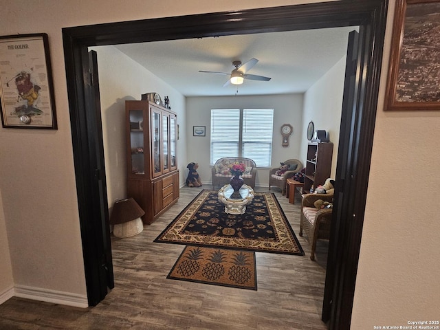 111 Lone Fls, Universal City, TX 78148 - living room with wood finished floors and a ceiling fan