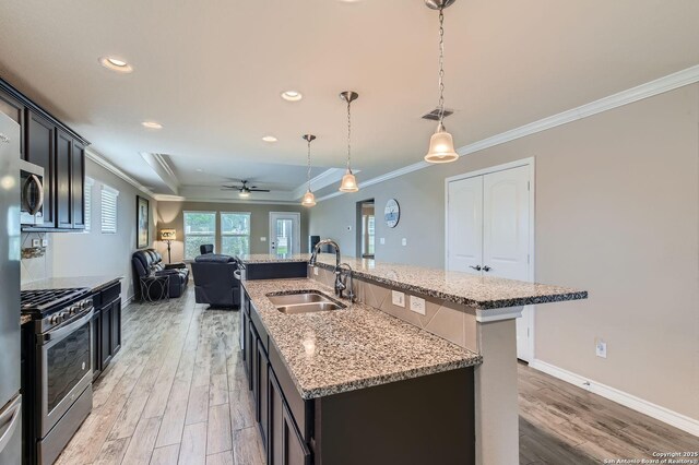 3354 Blossom Row, San Antonio, TX 78253 - kitchen featuring stainless steel appliances, a tray ceiling, light wood-type flooring, crown molding, and open floor plan