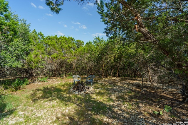 1210 Silent Holw, San Antonio, TX 78260 - view of yard with a view of trees