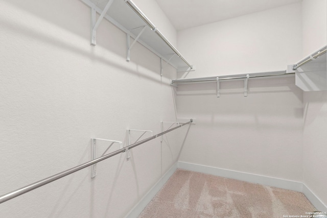 1845 Nettletree, New Braunfels, TX 78132 - spacious closet with light colored carpet