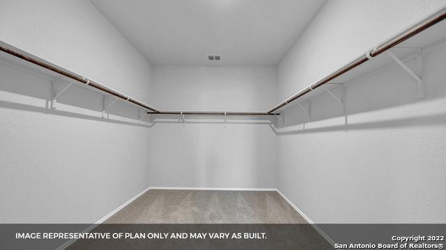 21039 Watercourse Way, San Antonio, TX 78266 - spacious closet with carpet floors