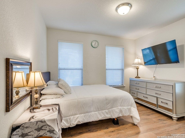 20127 Silver Strm, San Antonio, TX 78259 - bedroom featuring light wood-style floors and multiple windows