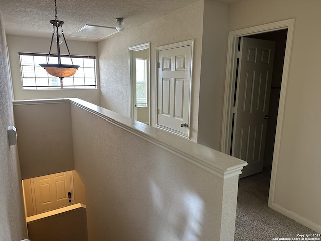 4606 Gambels Quail, Converse, TX 78109 - staircase with a textured ceiling, carpet, and a textured wall