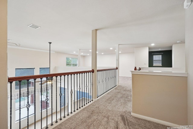 519 Catanbo, San Antonio, TX 78258 - corridor featuring carpet and recessed lighting