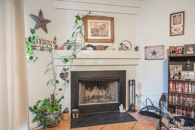 11002 Stagwood Pass, San Antonio, TX 78254 - detailed view of a fireplace with flush hearth
