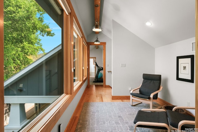 217 Alta, San Antonio, TX 78209 - sitting room featuring vaulted ceiling and wood finished floors