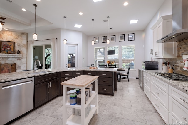 26130 Sunny Mdw, San Antonio, TX 78260 - kitchen with wall chimney range hood, stainless steel appliances, dark brown cabinetry, white cabinets, and healthy amount of natural light