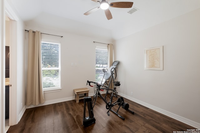 26130 Sunny Mdw, San Antonio, TX 78260 - exercise room with a ceiling fan, healthy amount of natural light, dark wood-style floors, and vaulted ceiling