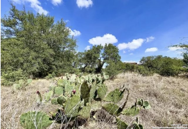 1245 Vintage Way, New Braunfels, TX 78132