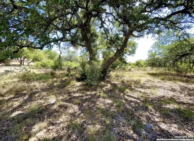 1245 Vintage Way, New Braunfels, TX 78132