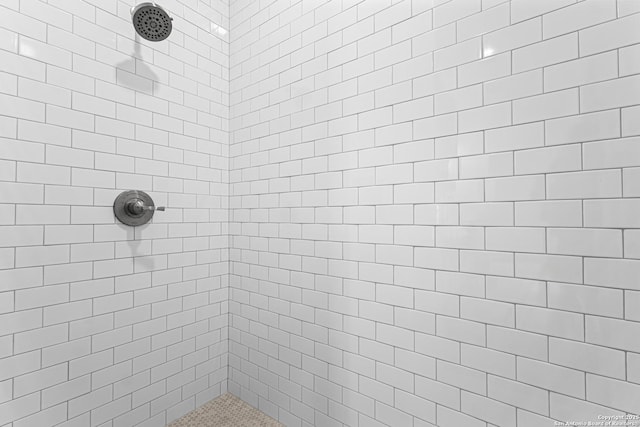 304 Riley Way, Kerrville, TX 78028 - bathroom with tiled shower