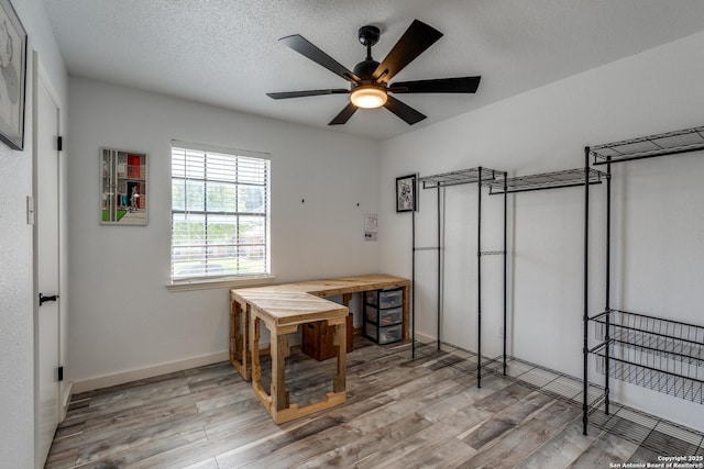 2500 Newning, Schertz, TX 78154 - office with wood finished floors, a ceiling fan, and a textured ceiling