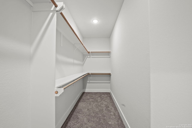 10706 Pharaoh Run, San Antonio, TX 78254 - walk in closet with dark colored carpet