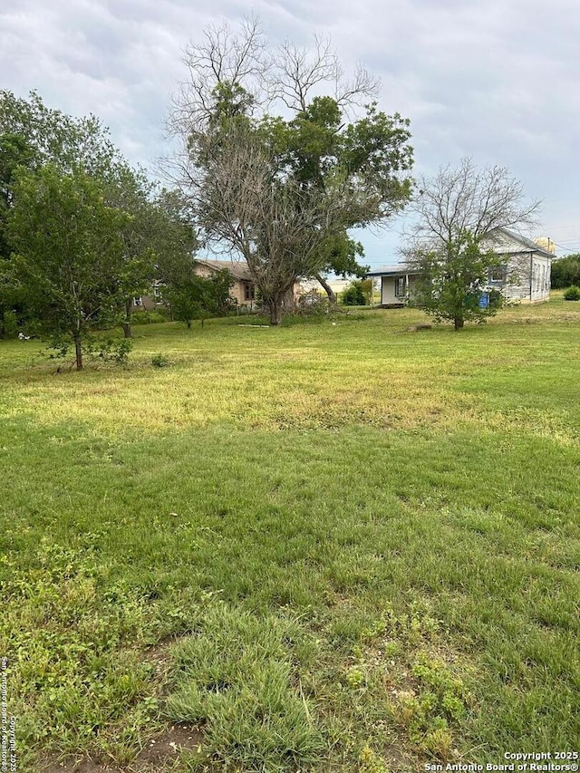 316 W Seideman St, Seguin, TX 78155 - view of green lawn