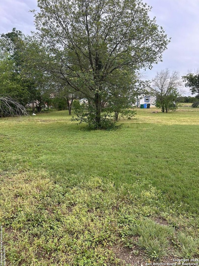 316 W Seideman St, Seguin, TX 78155 - view of grassy yard