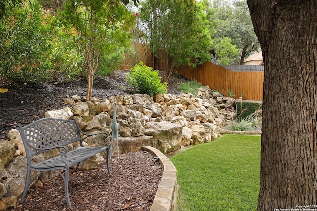 14630 Snip, San Antonio, TX 78248 - view of yard