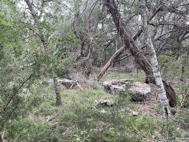 1021 Santa Fe, Spring Branch, TX 78070
