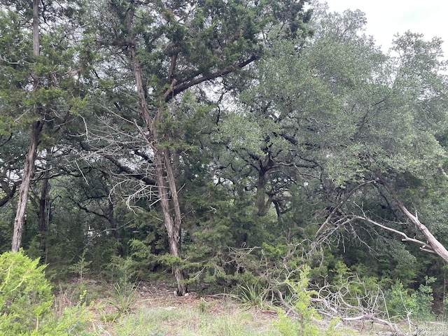 1021 Santa Fe, Spring Branch, TX 78070