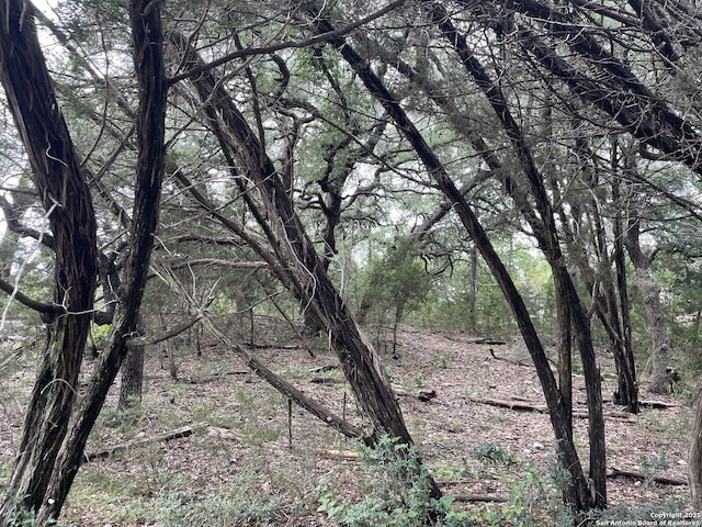 1021 Santa Fe, Spring Branch, TX 78070