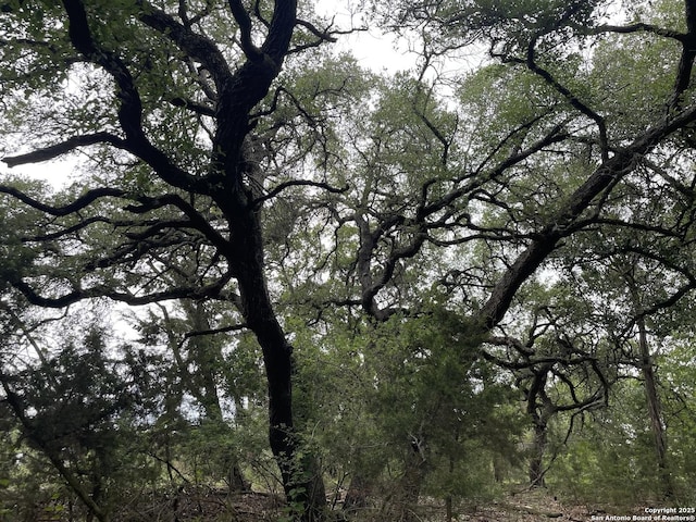 1021 Santa Fe, Spring Branch, TX 78070