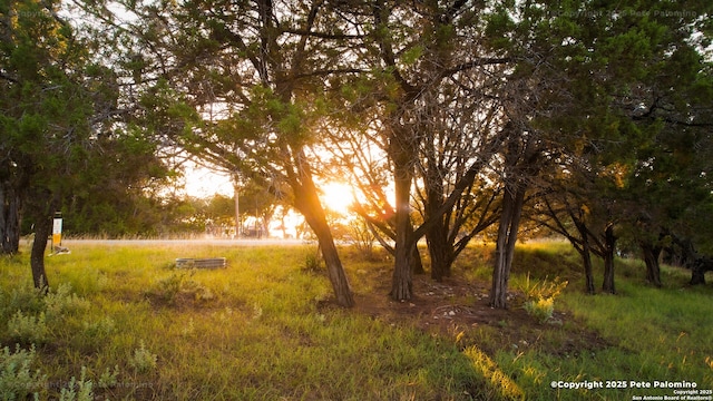 540 Soft Wind, Canyon Lake, TX 78133 - view of local wilderness