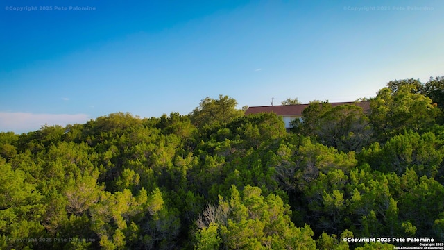 540 Soft Wind, Canyon Lake, TX 78133 - view of tree filled area