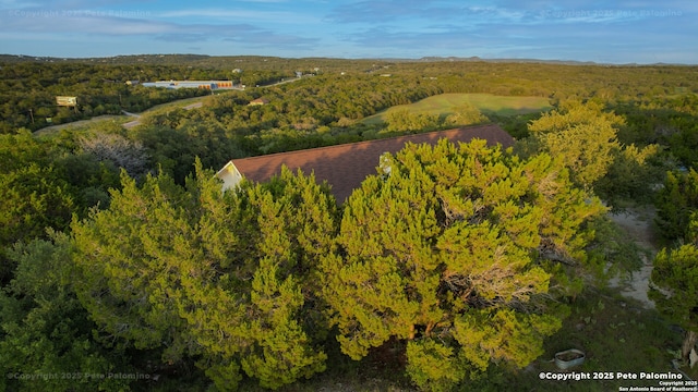 540 Soft Wind, Canyon Lake, TX 78133 - drone / aerial view of a forest
