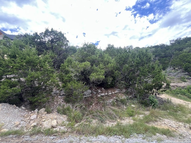 1597 Trail Pass, Canyon Lake, TX 78133