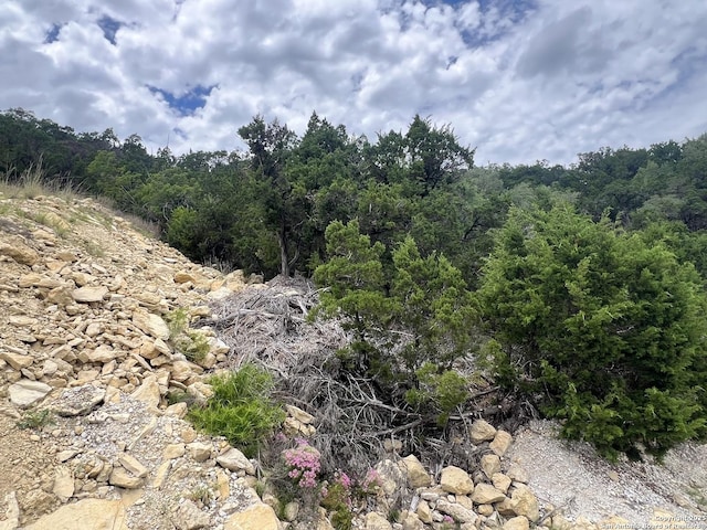 1597 Trail Pass, Canyon Lake, TX 78133
