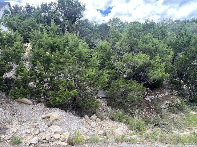 1597 Trail Pass, Canyon Lake, TX 78133