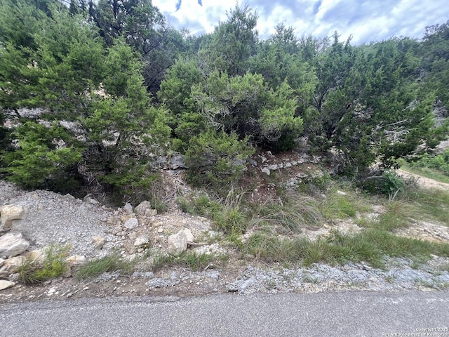 1597 Trail Pass, Canyon Lake, TX 78133