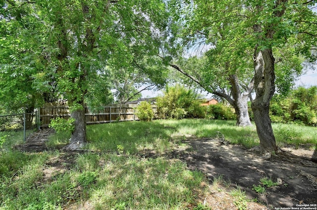 105 Apache, Cibolo, TX 78108 - view of yard