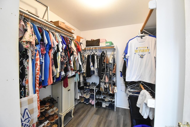 10310 Mission Crk, Converse, TX 78109 - walk in closet with wood finished floors