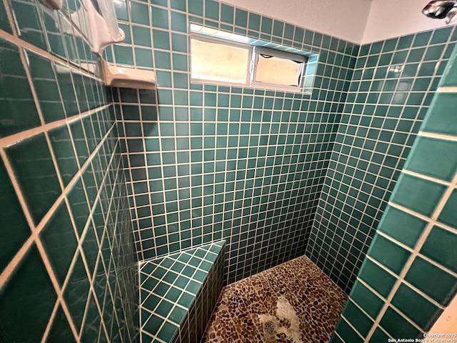 184 Guadalupe Hls, Seguin, TX 78155 - full bath featuring a tile shower