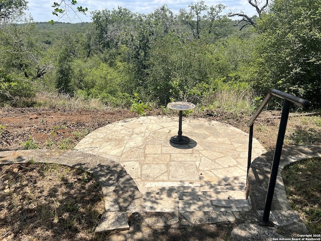 184 Guadalupe Hls, Seguin, TX 78155 - view of patio with a view of trees