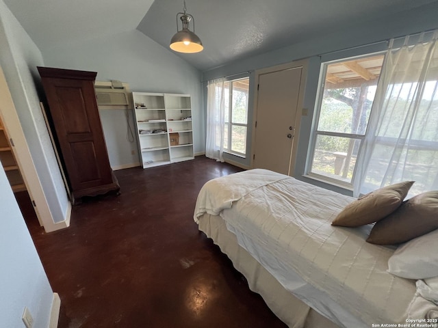 184 Guadalupe Hls, Seguin, TX 78155 - bedroom with vaulted ceiling and baseboards