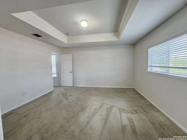 130 Palazzo Torre, San Antonio, TX 78253 - unfurnished room featuring a tray ceiling, crown molding, and carpet flooring