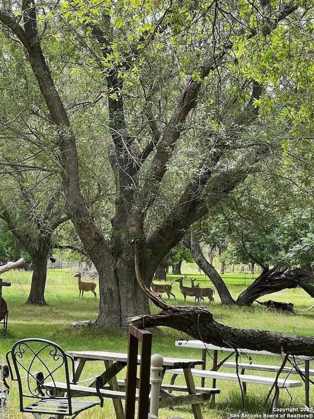 168 Water St, Pipe Creek, TX 78063 - view of property's community