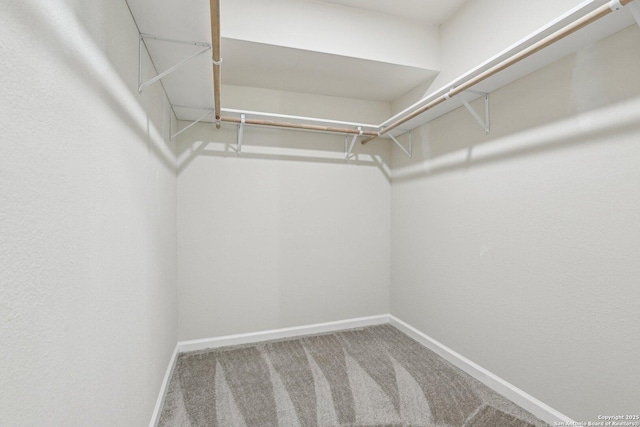 333 S Mesquite, New Braunfels, TX 78130 - walk in closet featuring carpet floors