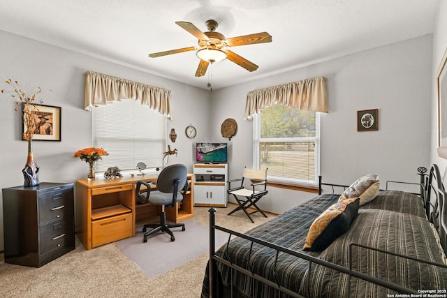 479 Park Rd 23, Blanco, TX 78606 - bedroom with light colored carpet, an office area, and ceiling fan