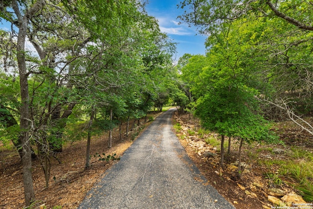 479 Park Rd 23, Blanco, TX 78606 - view of road