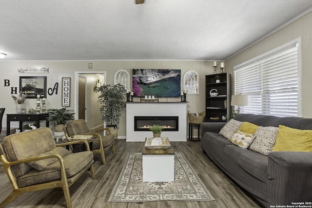1245 Whitney, Pleasanton, TX 78064 - living area featuring crown molding, a textured ceiling, a glass covered fireplace, wood finished floors, and wooden walls