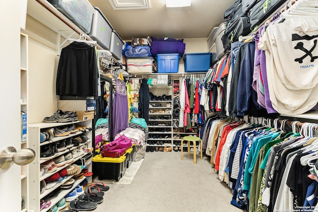435 Red Quill Nest, San Antonio, TX 78253 - spacious closet featuring carpet flooring