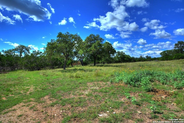 142 Four Bears Trl, Kerrville, TX 78028 - view of undeveloped land with rural landscape