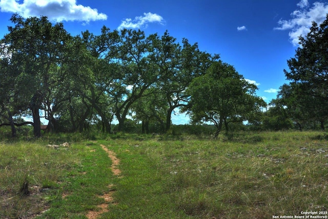 142 Four Bears Trl, Kerrville, TX 78028 - view of local wilderness