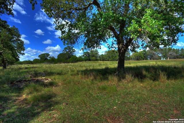 142 Four Bears Trl, Kerrville, TX 78028 - view of nature