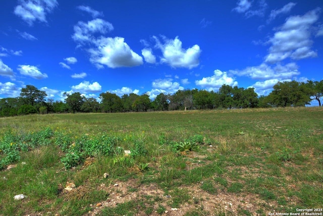 142 Four Bears Trl, Kerrville, TX 78028 - view of local wilderness with rural landscape