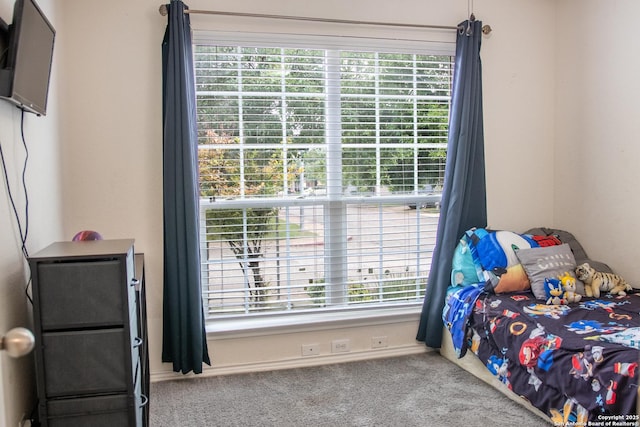 12339 Craddick Cv, San Antonio, TX 78254 - bedroom with carpet floors and multiple windows