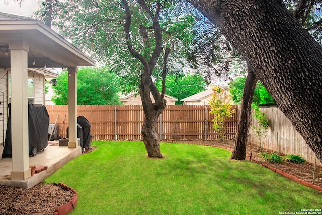 12339 Craddick Cv, San Antonio, TX 78254 - fenced backyard featuring a patio area